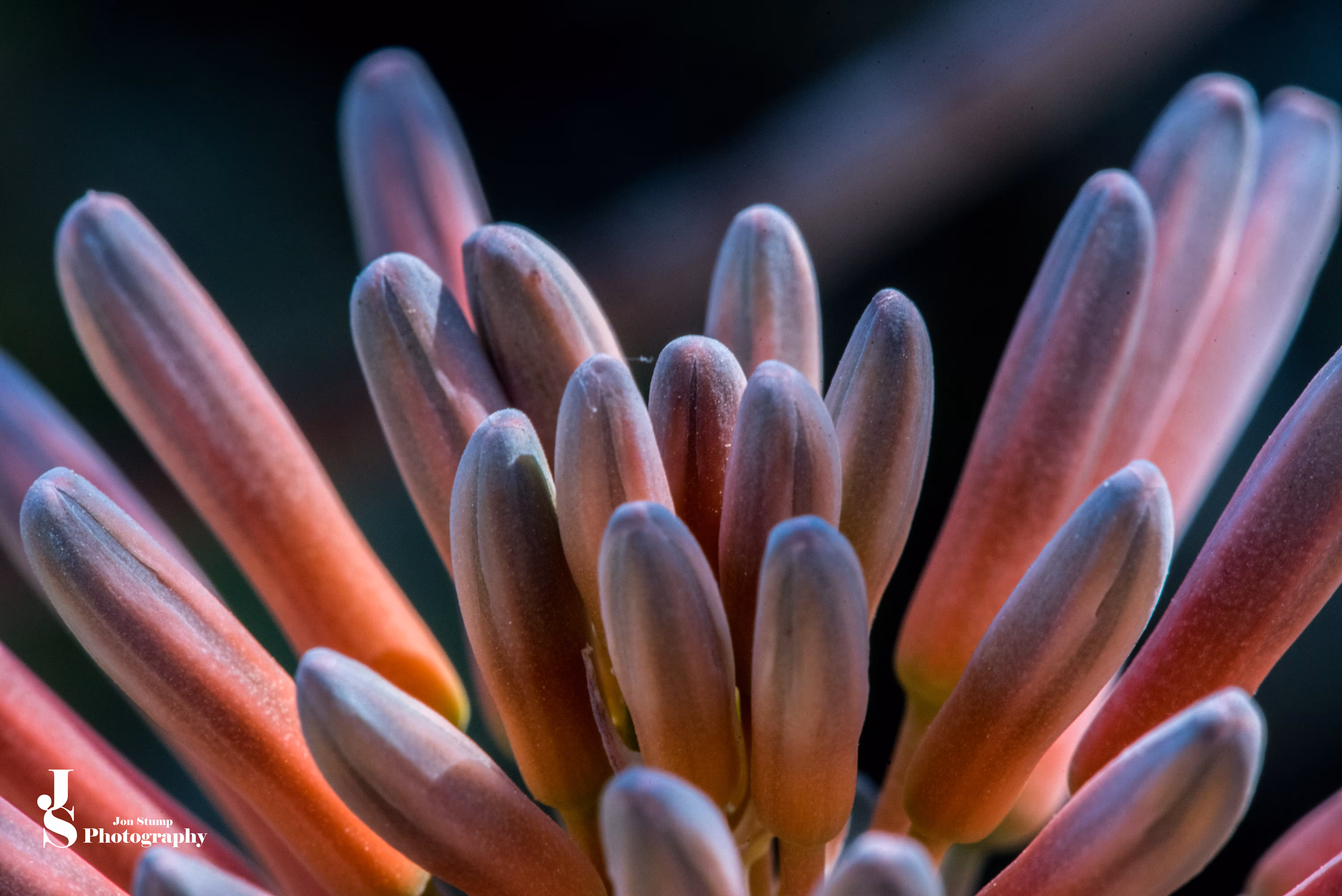 Plant Macros